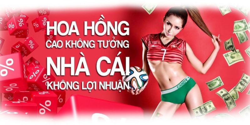 Tổng hợp các khuyến mãi mibet giá trị lớn